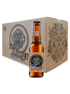 NEIPA AAP - 24