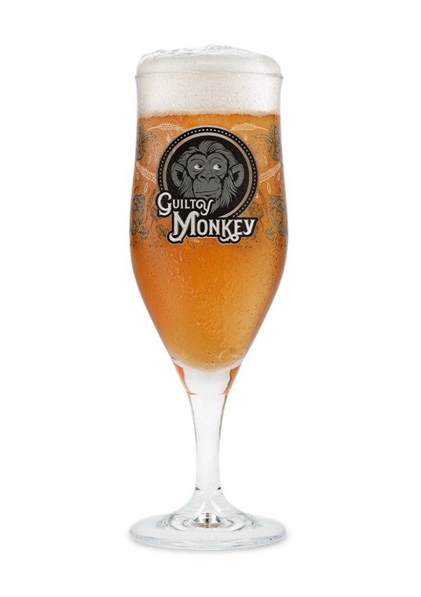 GUILTY MONKEY BIERGLAS 25CL