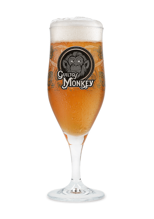 GUILTY MONKEY BIERGLAS 25CL